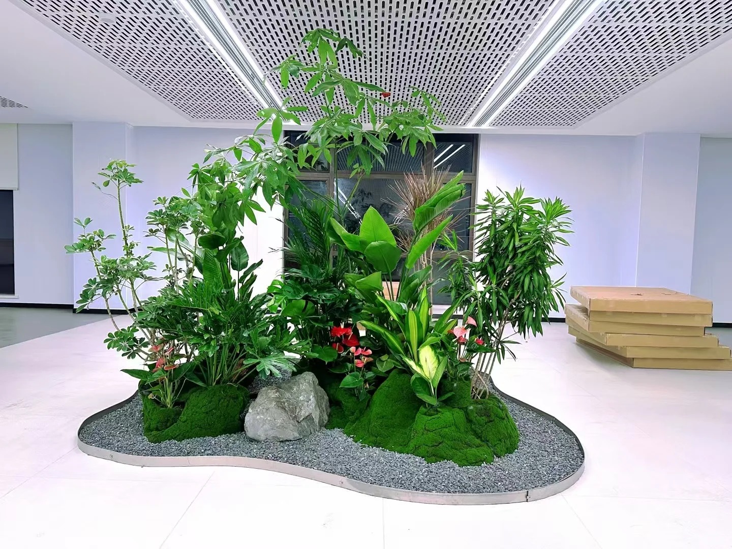 余姚盆景租摆哪家好？全方位对比给你答案！